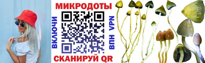 Галлюциногенные грибы GOLDEN TEACHER  Жигулёвск 